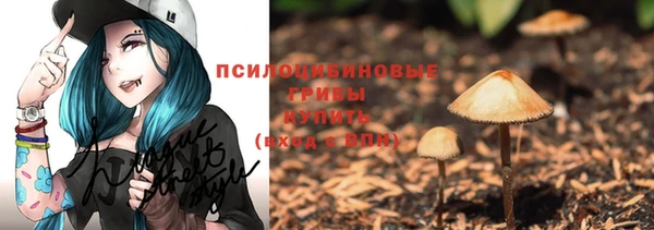 COCAINE Богородицк