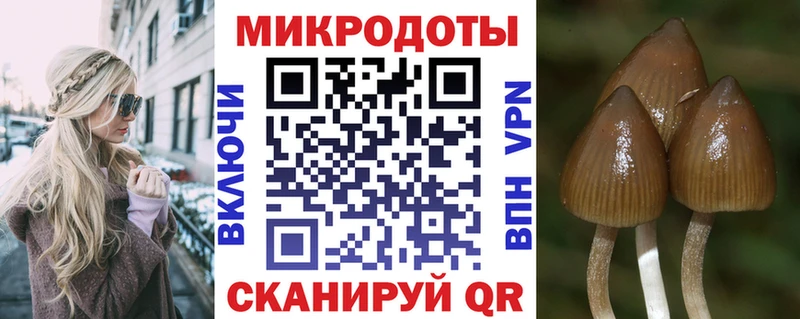 Псилоцибиновые грибы мухоморы hydra вход Терек